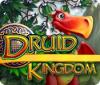 Druid Kingdom Spiel