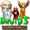 Druids: Battle of Magic Spiel