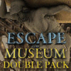 Escape the Museum Double Pack Spiel