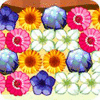 Flower Power Spiel