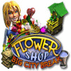 Flower Shop: Big City Break Spiel