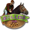 Gallop for Gold Spiel