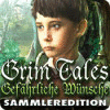 Grim Tales: Gefährliche Wünsche Sammleredition Spiel