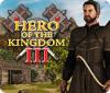 Hero of the Kingdom III Spiel