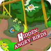 Hidden Angry Birds Spiel