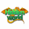 Hidden World Spiel