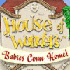 House of Wonders: Babies Come Home Spiel