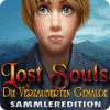 Lost Souls: Die verzauberten Gemälde Sammleredition Spiel