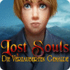 Lost Souls: Die verzauberten Gemälde Spiel