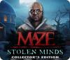 Maze: Stolen Minds Collector's Edition Spiel