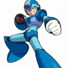 Megaman Polarity Reconstruction Spiel