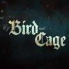 Of bird and cage Spiel