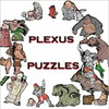 Plexus Puzzles Spiel