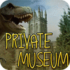 Private Museum Spiel