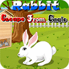 Rabbit Escape From Eagle Spiel