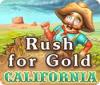 Rush for Gold: California Spiel