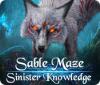 Sable Maze: Gefährliches Wissen Sammlerediton Spiel