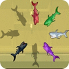 Shark Hunter Spiel