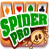 Spider Pro Spiel