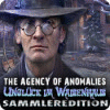The Agency of Anomalies: Unglück im Waisenhaus Sammleredition Spiel