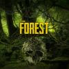 The Forest Spiel