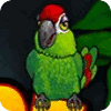 Thirsty Parrot Spiel