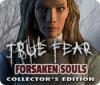 True Fear: Verlorene Seelen Sammleredition Spiel
