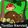 Turtles Harvest Spiel
