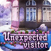 Unexpected Visitor Spiel