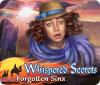 Whispered Secrets: Vergessene Sünden Spiel