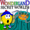 Wonderland Secret Worlds Spiel