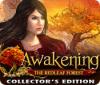 Awakening: Der Wald der roten Blätter Sammleredition game