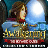 Awakening: Das Himmelsschloss Sammleredition game