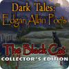 Dark Tales: Der schwarze Kater von Edgar Allan Poe Sammleredition game