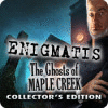 Enigmatis: Die Seelen von Maple Creek Sammleredition game