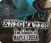 Enigmatis: Die Seelen von Maple Creek game