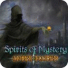 Spirits of Mystery: Dunkler Fluch Sammleredition game