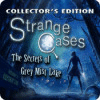 Strange Cases: Das Geheimnis von Grey Mist Lake Sammleredition game