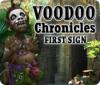 Voodoo Chroniken: Erstes Zeichen game
